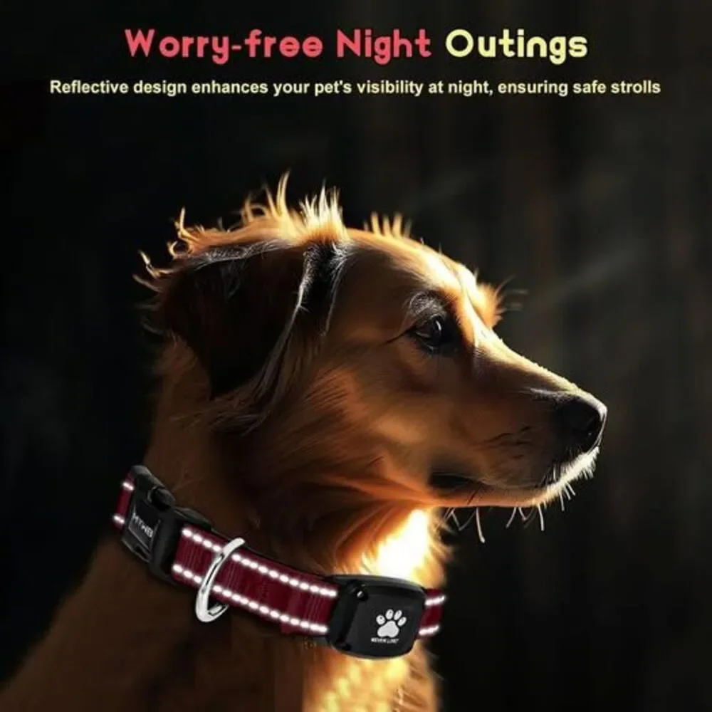 GPS Dog Collar Tracker 2-in-1